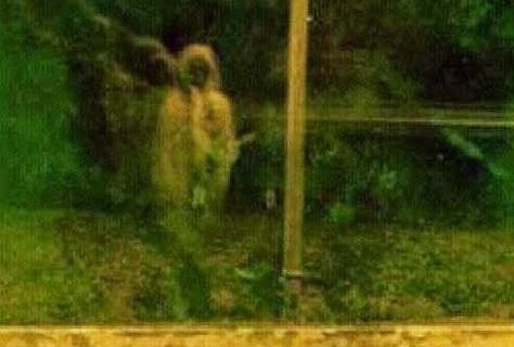 Backyard Ghost