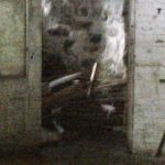 Apparition Captured on Camera in Home For Sale